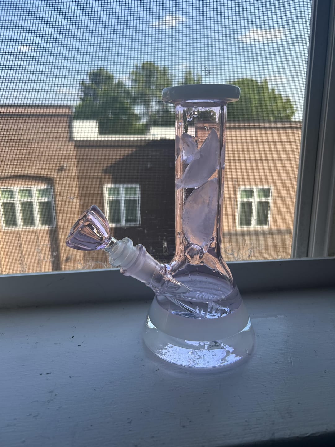 Customer photo review of CLASSY BEAKER BONG 8"