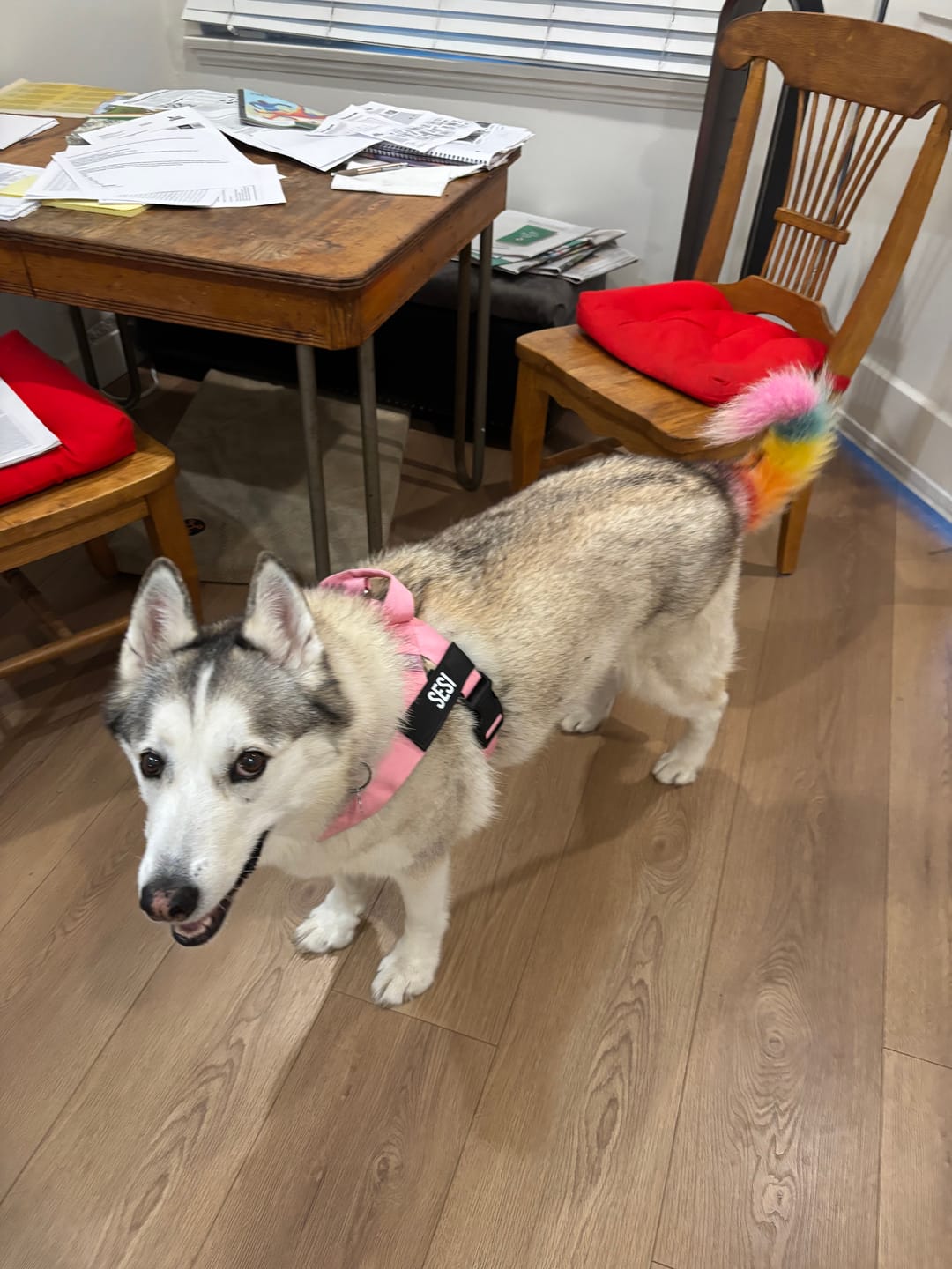 Customer photo review of Custom Name Patch
