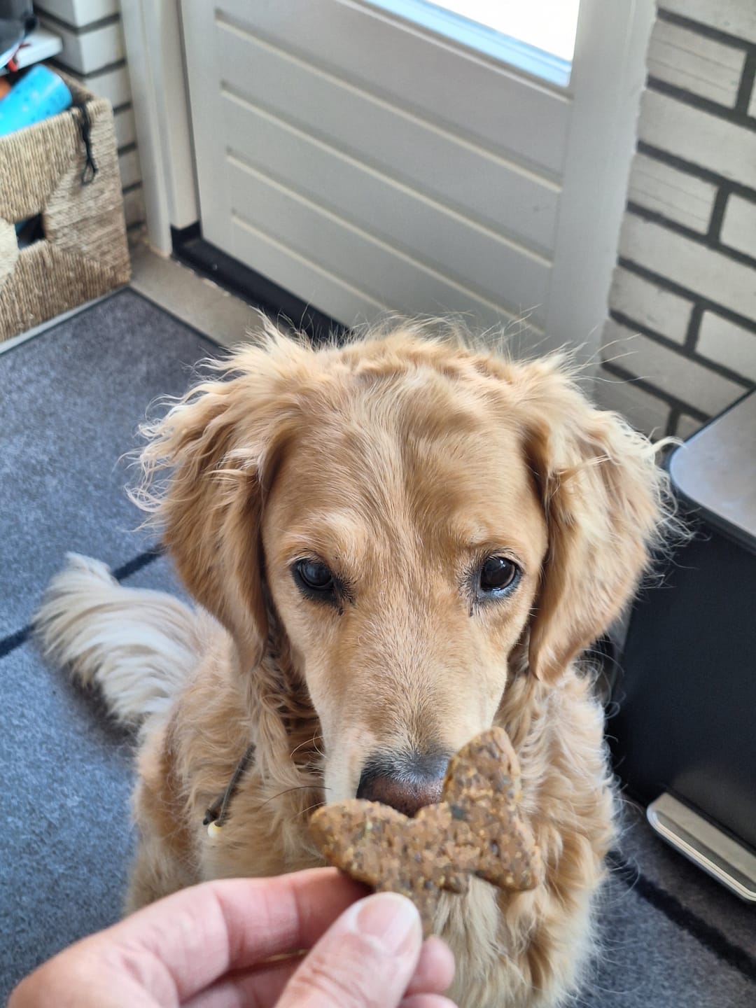 Customer photo review of Magische Mr. Pooh | Zomerkoek