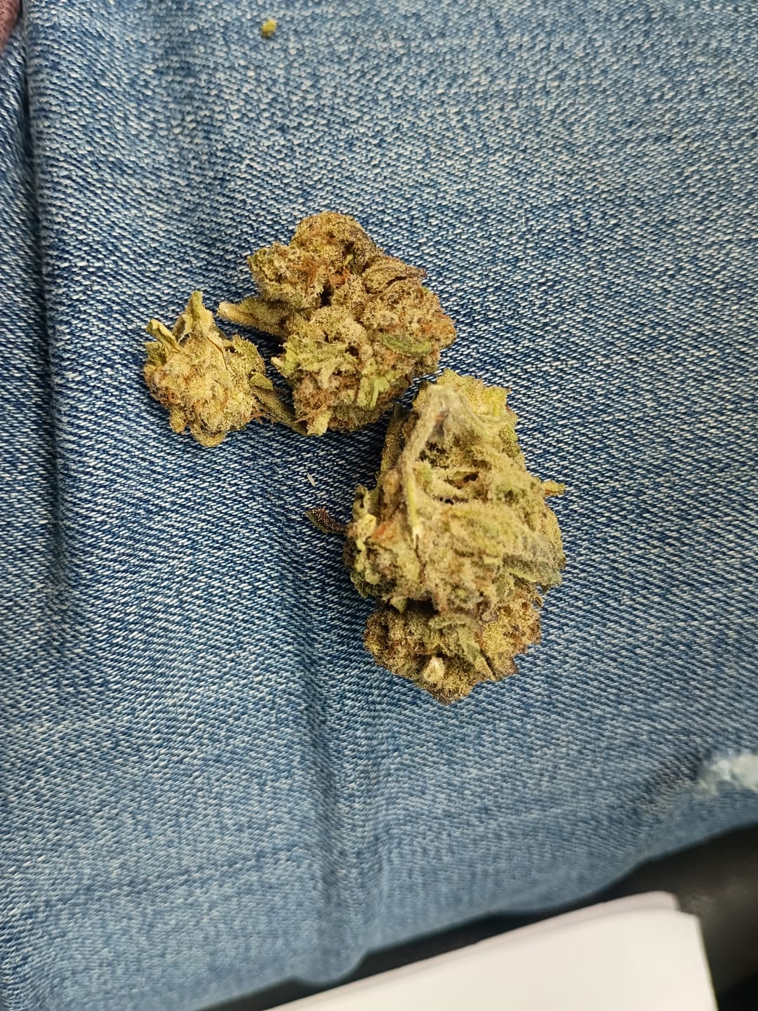 Customer photo review of PK Runtz Greenhouse THCA