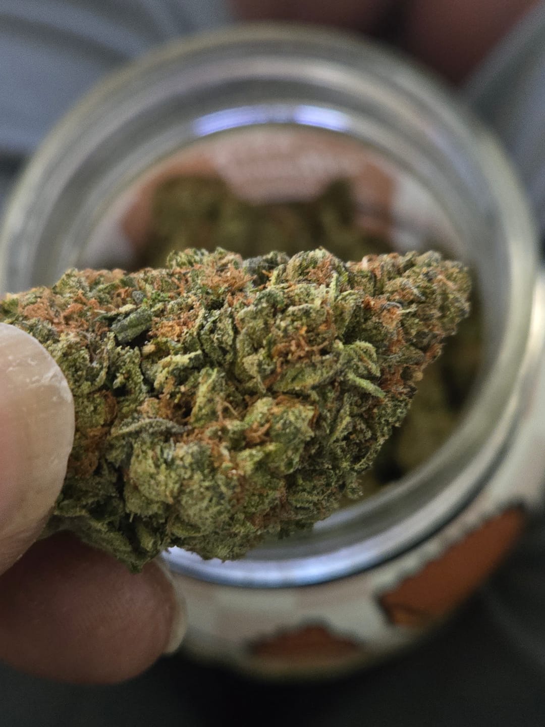 Customer photo review of Platinum Bubba - Bulk - Indica