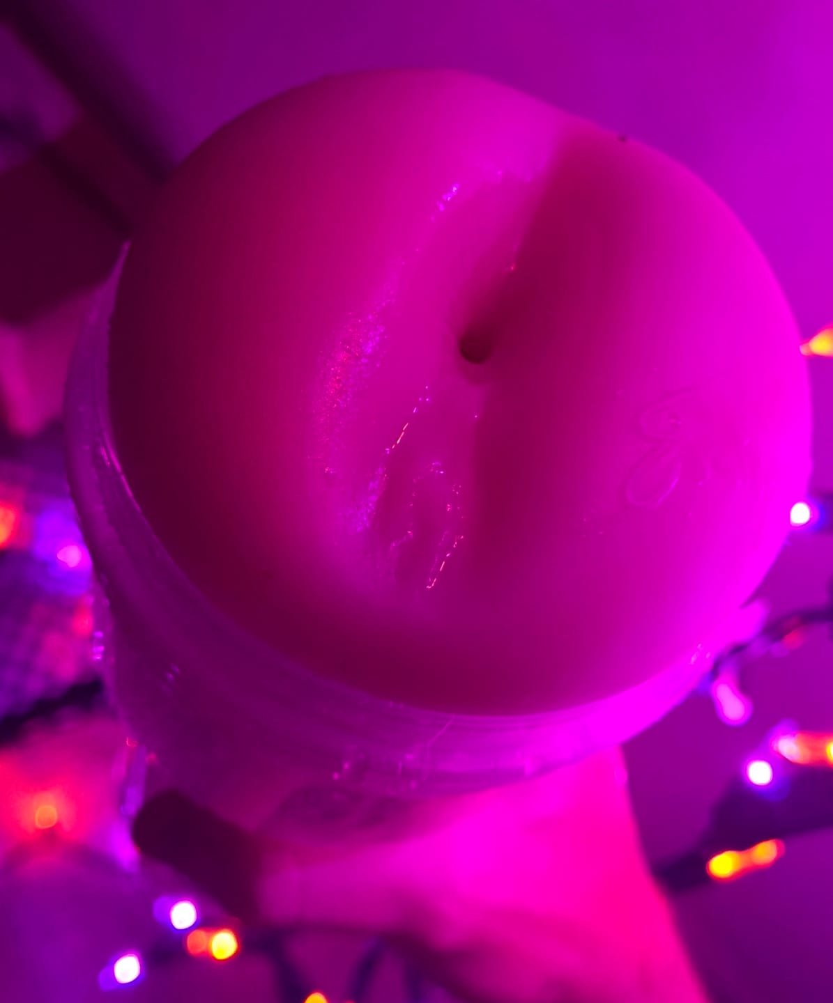 Customer photo review of Emily Willis Fleshlight