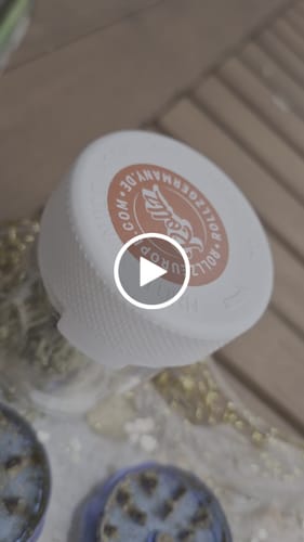 Customer video review of THC-A 34% Flower Lemonatti