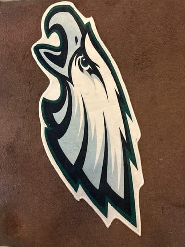 Customer photo review of Philadelphia Eagles Rug