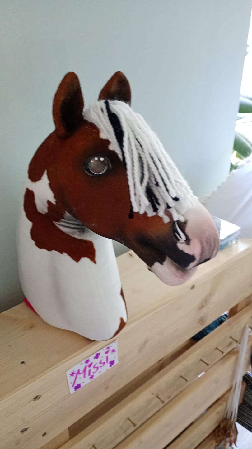 Customer photo review of Hobby Horse based on your photo