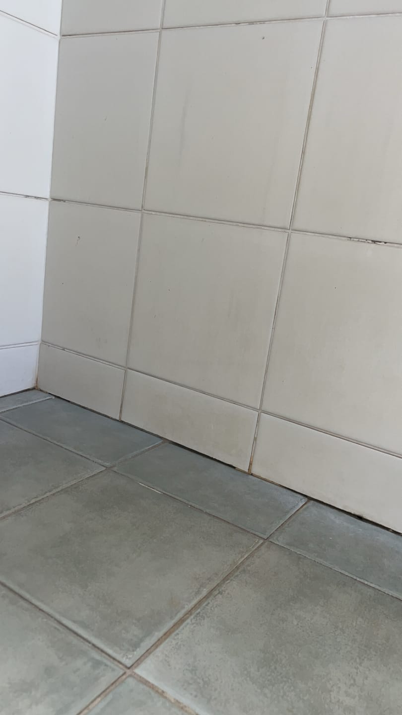 Customer photo review of SHYN Degreaser