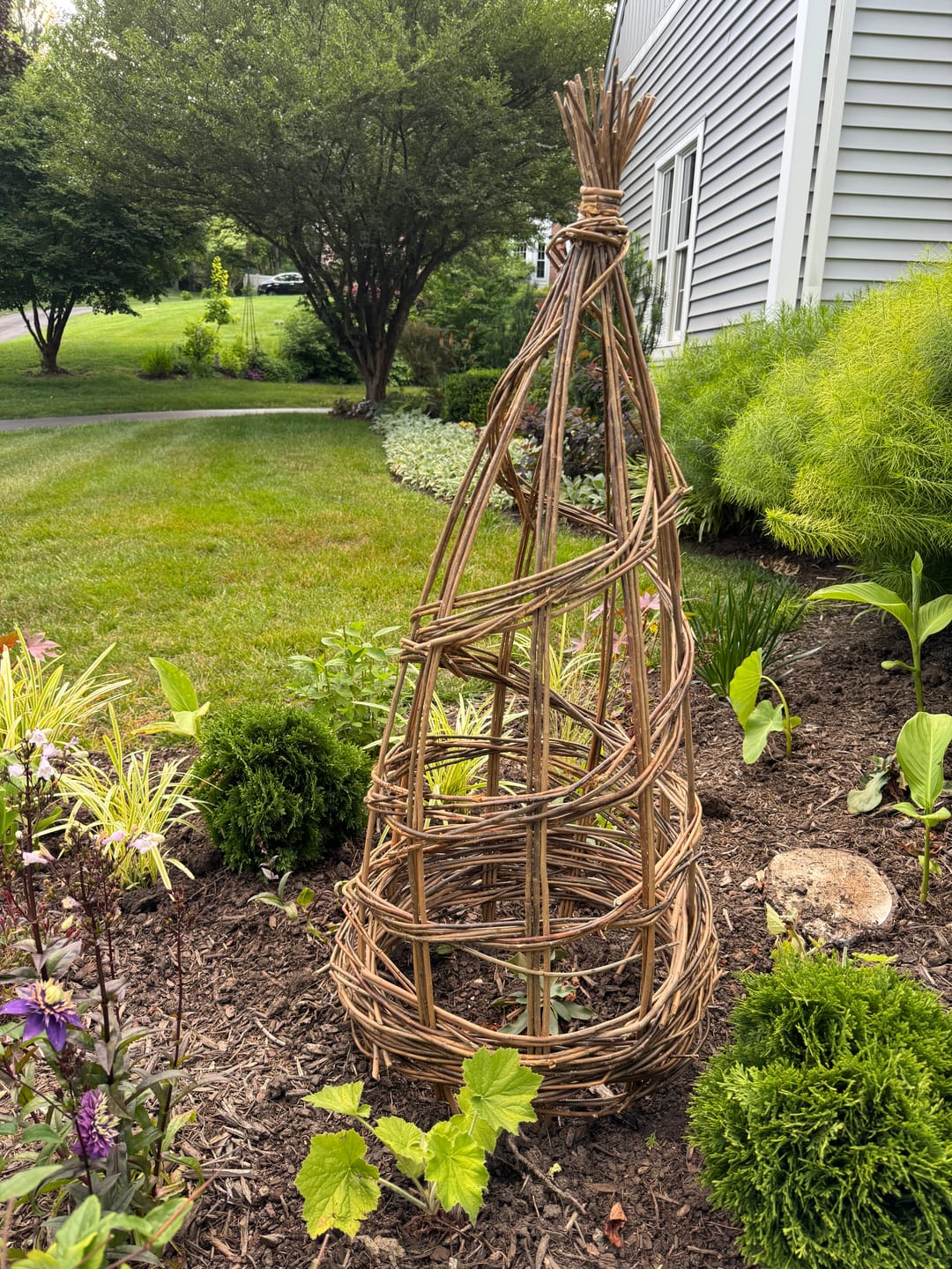 Customer photo review of The Willow Plant Support (3.8 Feet Tall)
