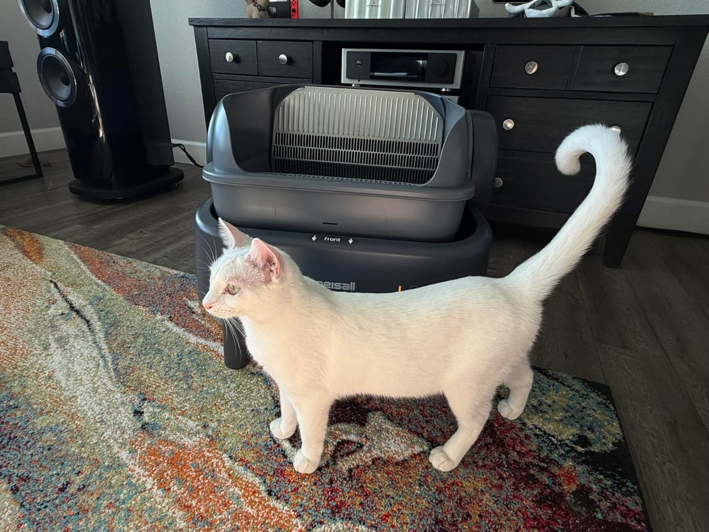 Customer photo review of Oneisall Ease S1 selbstreinigende Katzentoilette