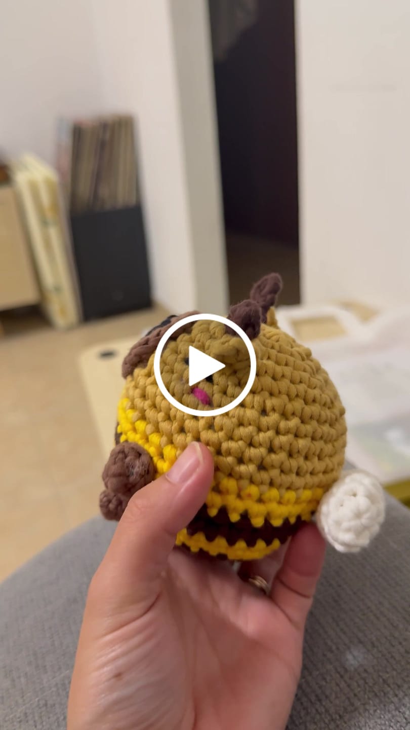Customer video review of Lucy The Bee Capybara Crochet Kit