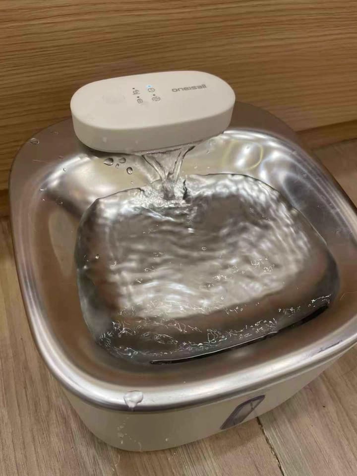 Customer photo review of Oneisall 3.5L Kabelloser Edelstahl Trinkbrunnen für Katzen mit 3 Filtern