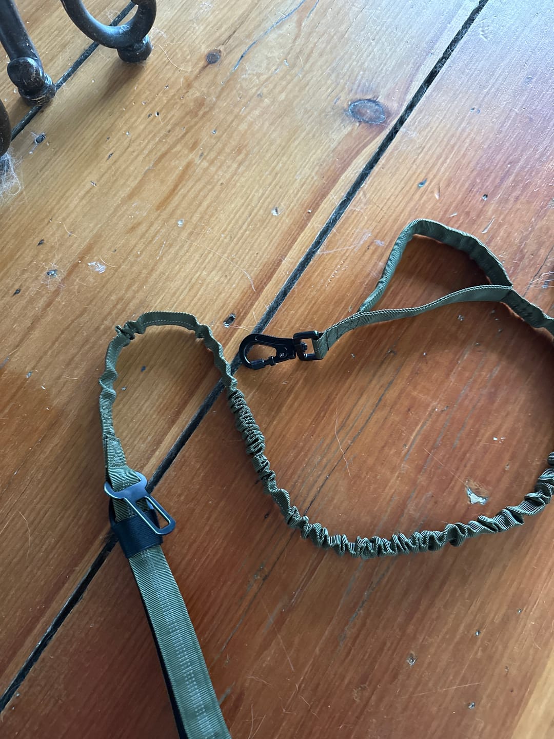 Customer photo review of Team K9® Tactical Bungee Dog Leash