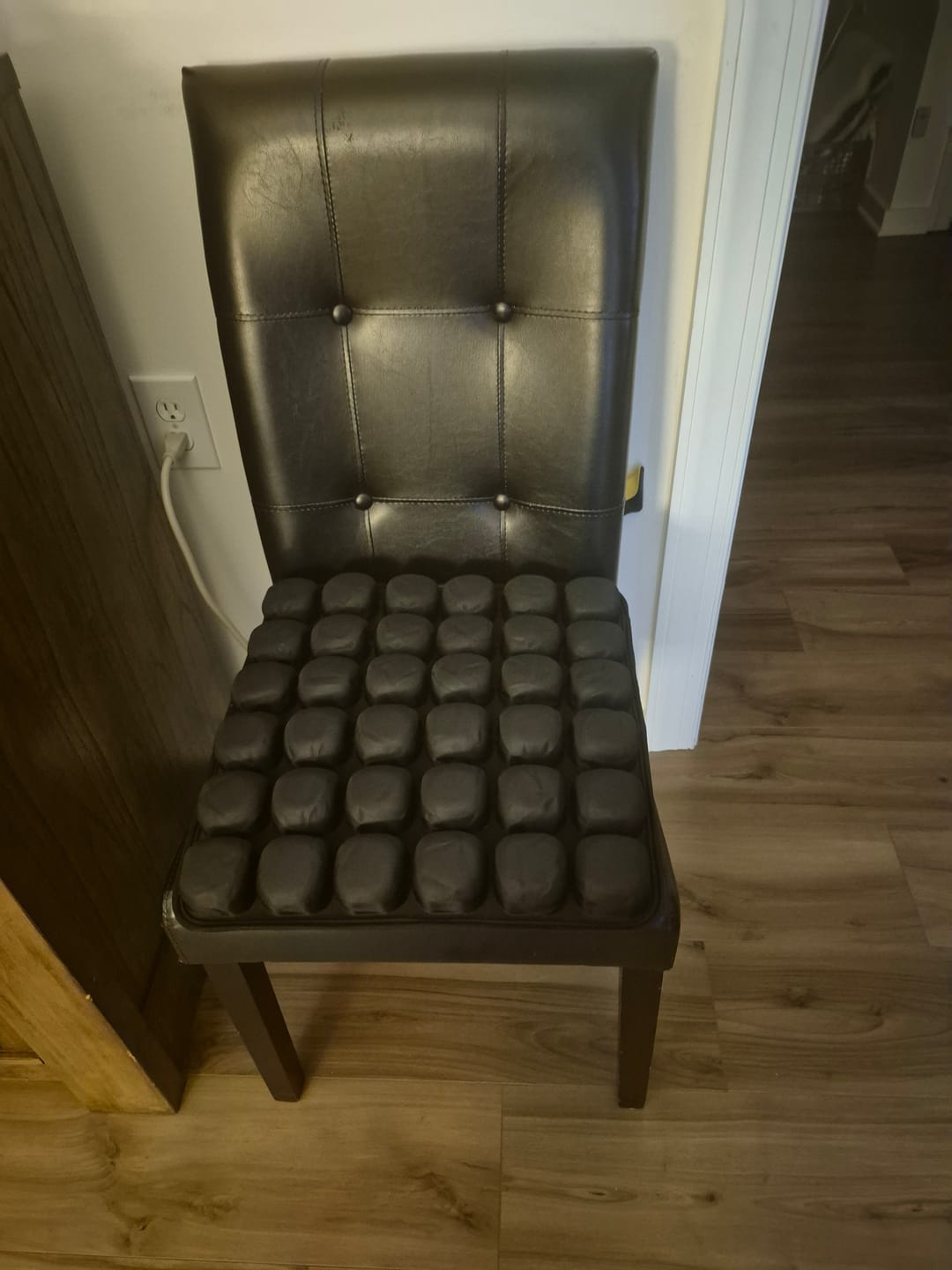 Customer photo review of Travel Cushion