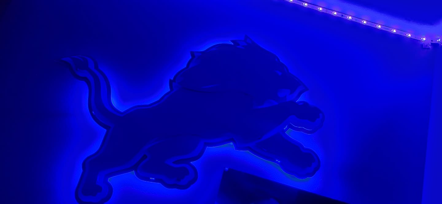Customer photo review of Detroit Lions 3D Vintage Metal Wall Art