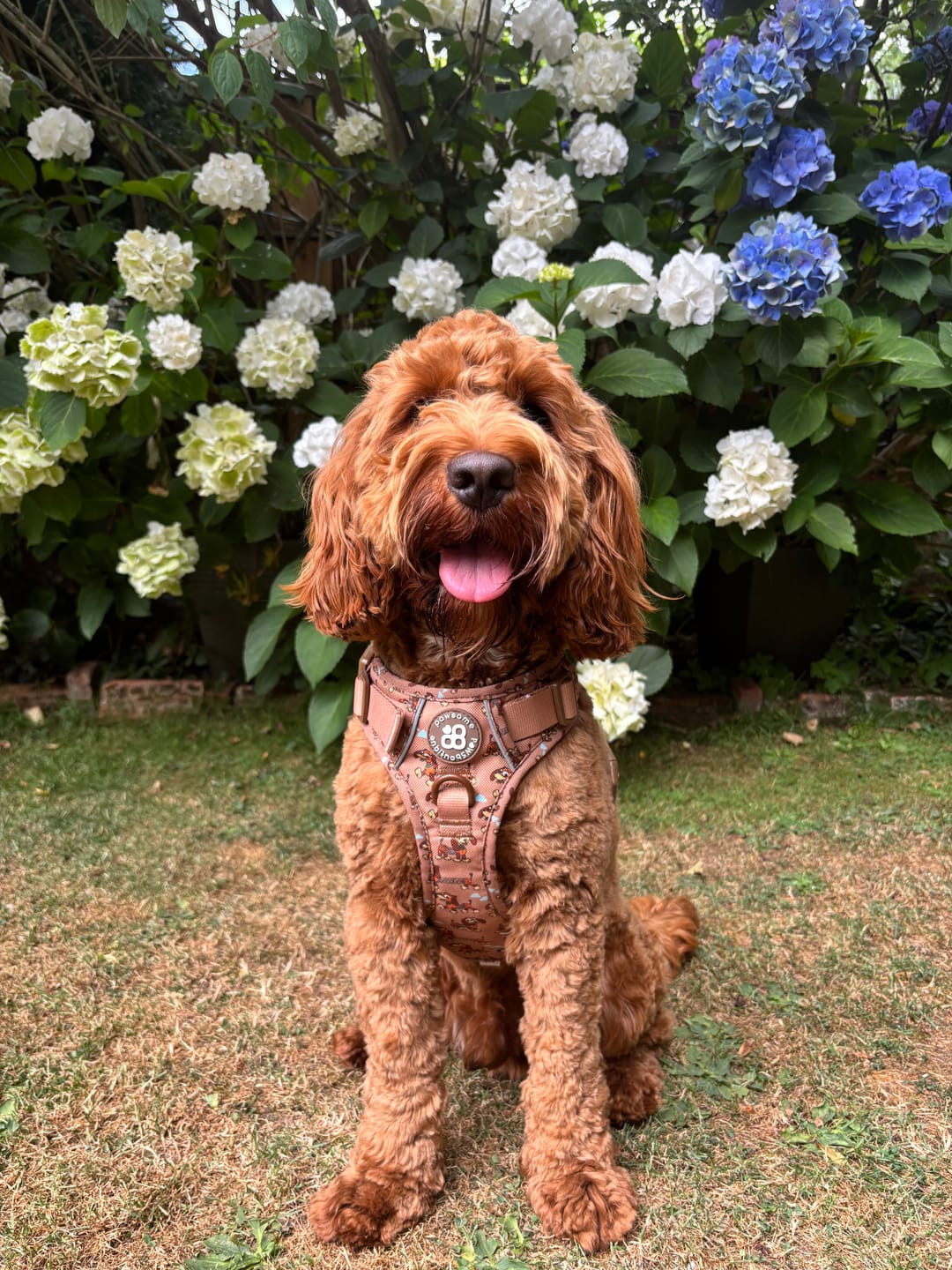 Customer photo review of Disney© Tough Trails™ Harness - Slinky