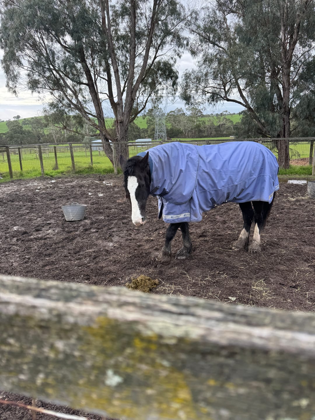 Customer photo review of LE Boxter Turnout Ripstop 50g