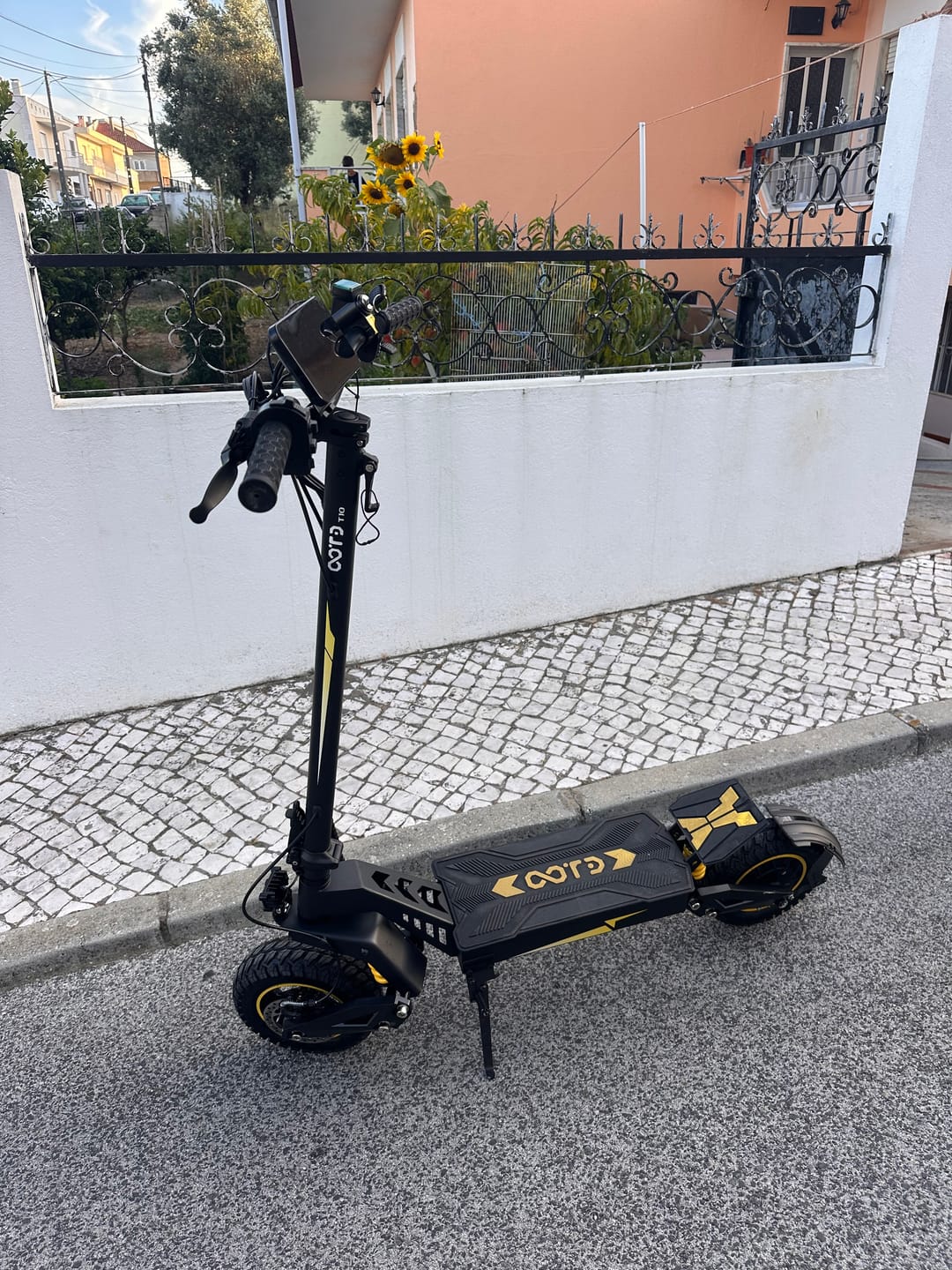 Customer photo review of OOTD T10 E-Scooter
