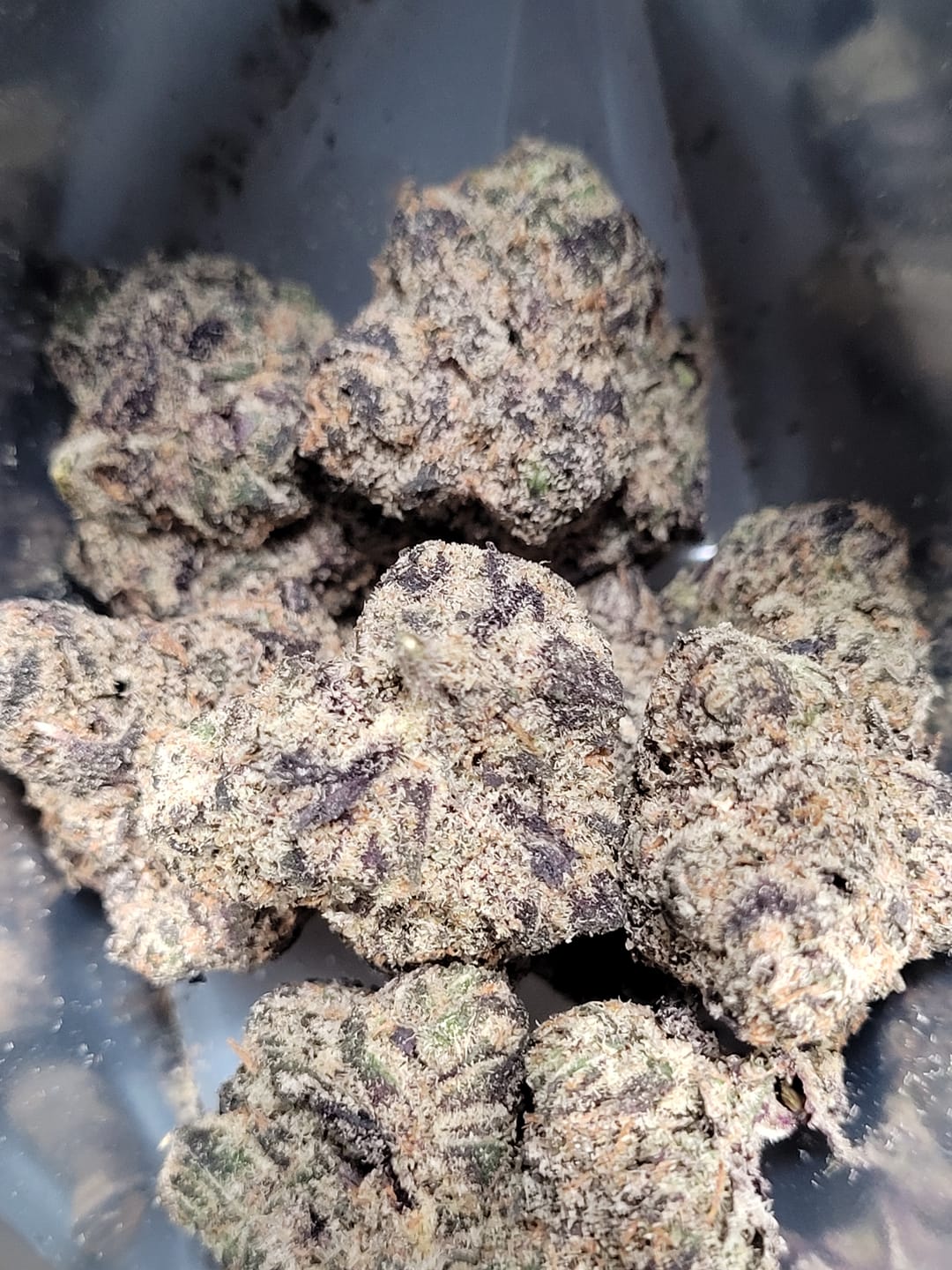 Customer photo review of Uncle Snoop