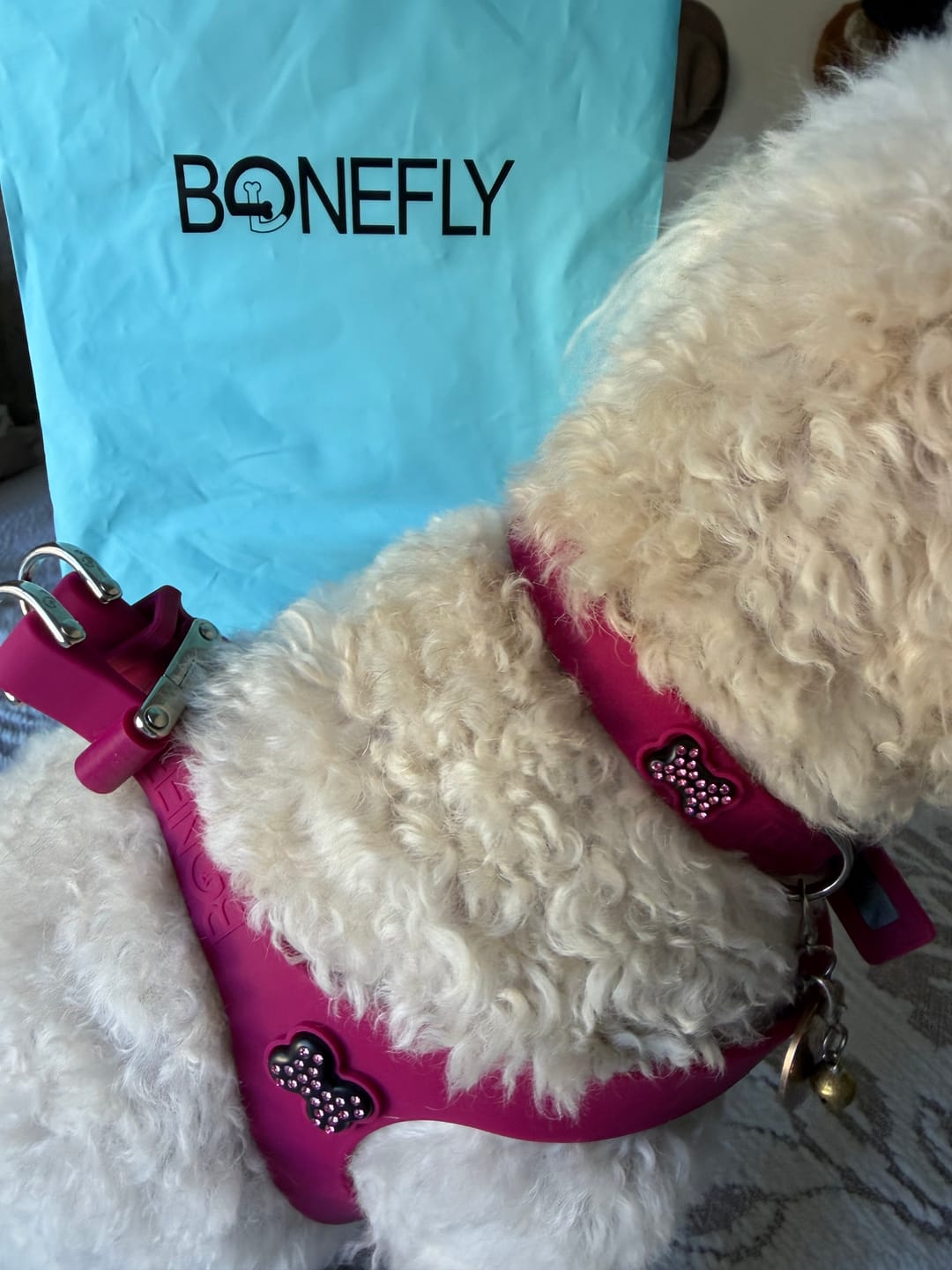 Customer photo review of Boneflex Harness Silver
