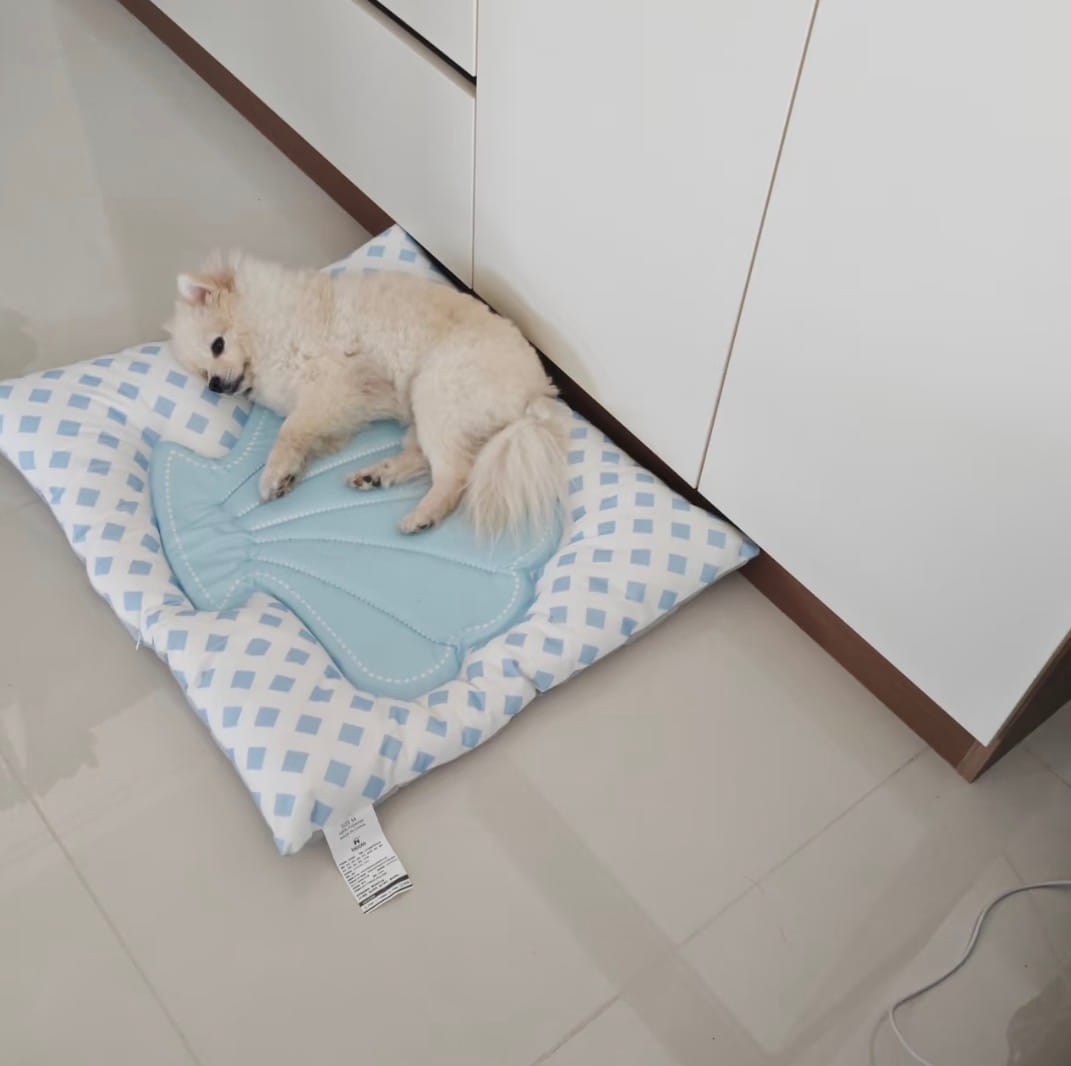 Customer photo review of Pet Shell Cooling Bed