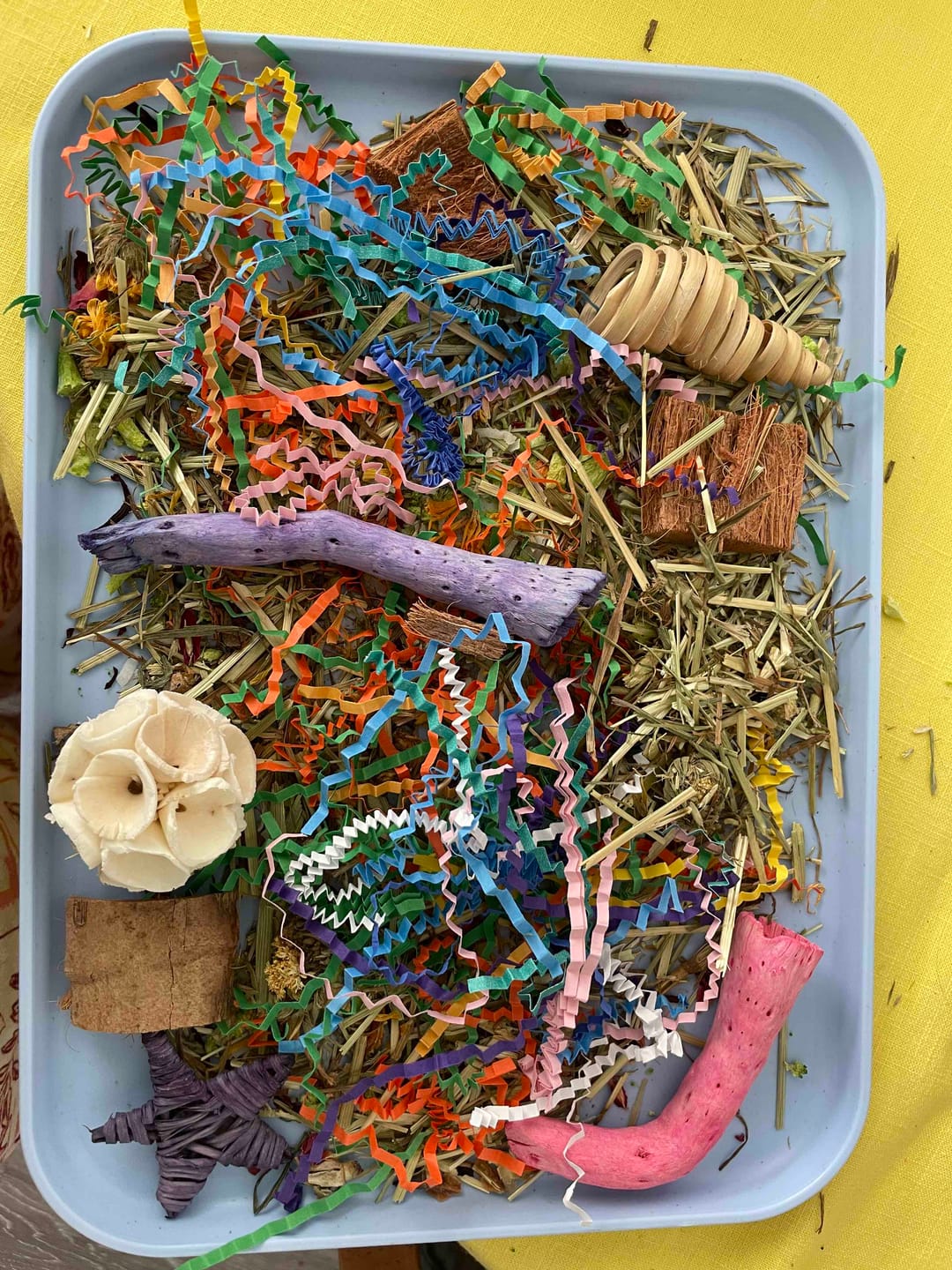 Customer photo review of Foraging Flat Bird Toy (BYOT) – Interactive Treat Hide & Shredding Tray for Parrots, Conures, Cockatiels