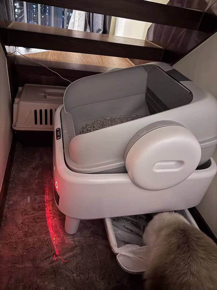 Customer photo review of Oneisall Ease S1 selbstreinigende Katzentoilette
