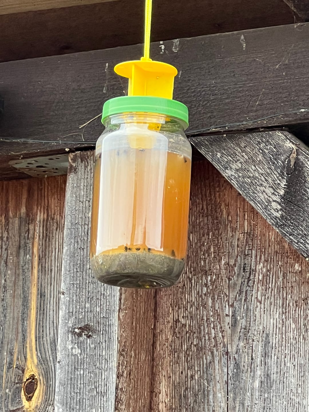 Customer photo review of HorseSafe LiquidTrap – Schluss mit Fliegenstress auf deinem Hof