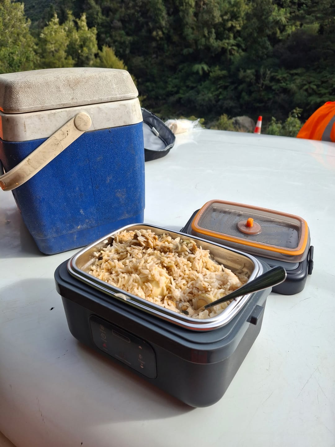 Customer photo review of Explorer Heating Lunchbox™ - Portable And Convenient