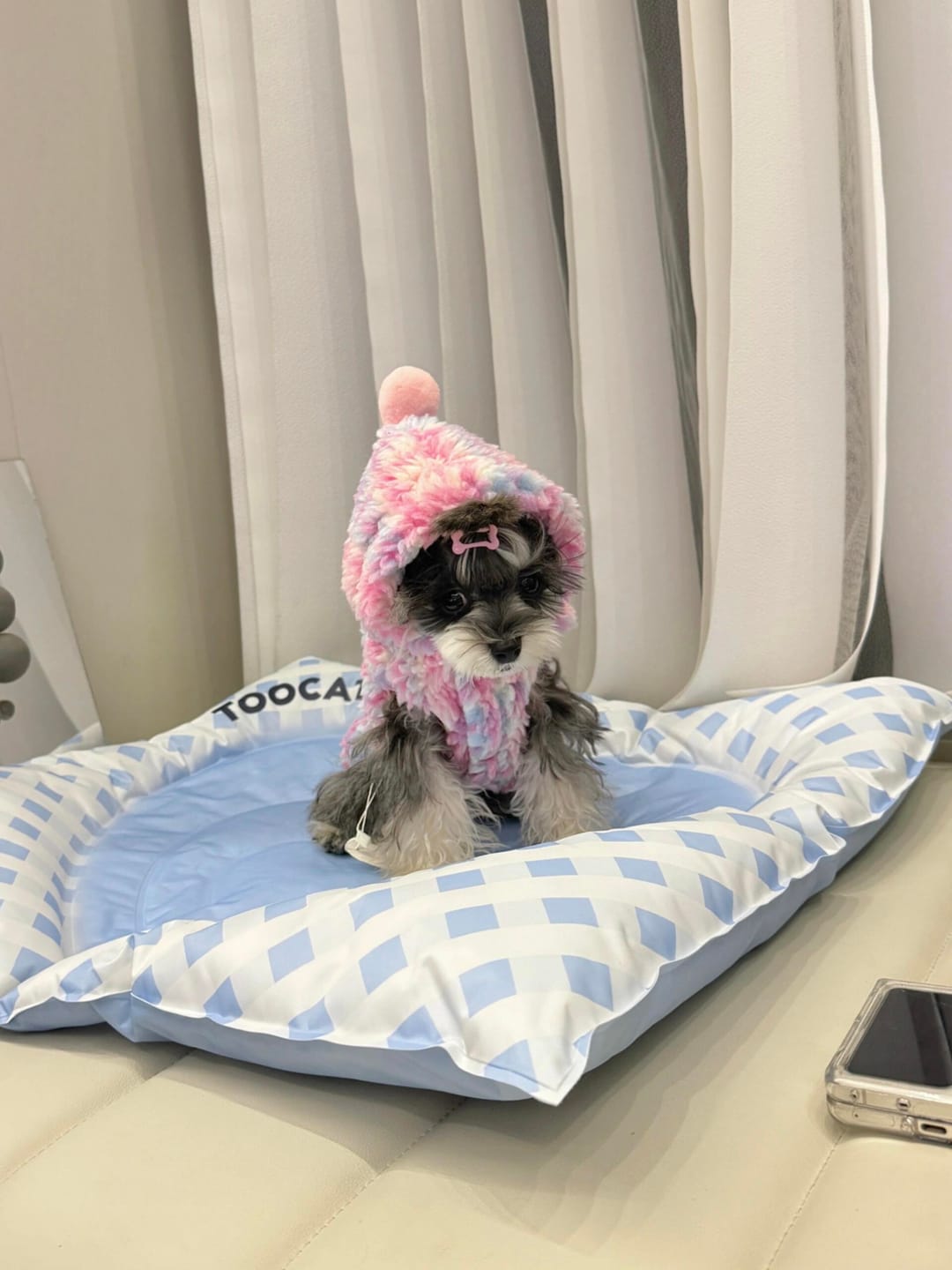 Customer photo review of Pet Shell Cooling Bed