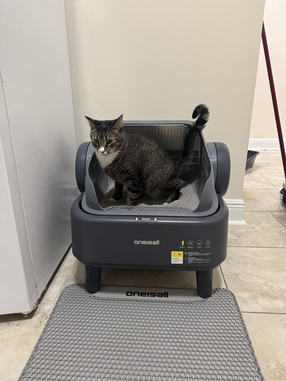 Customer photo review of Oneisall Ease S1 selbstreinigende Katzentoilette