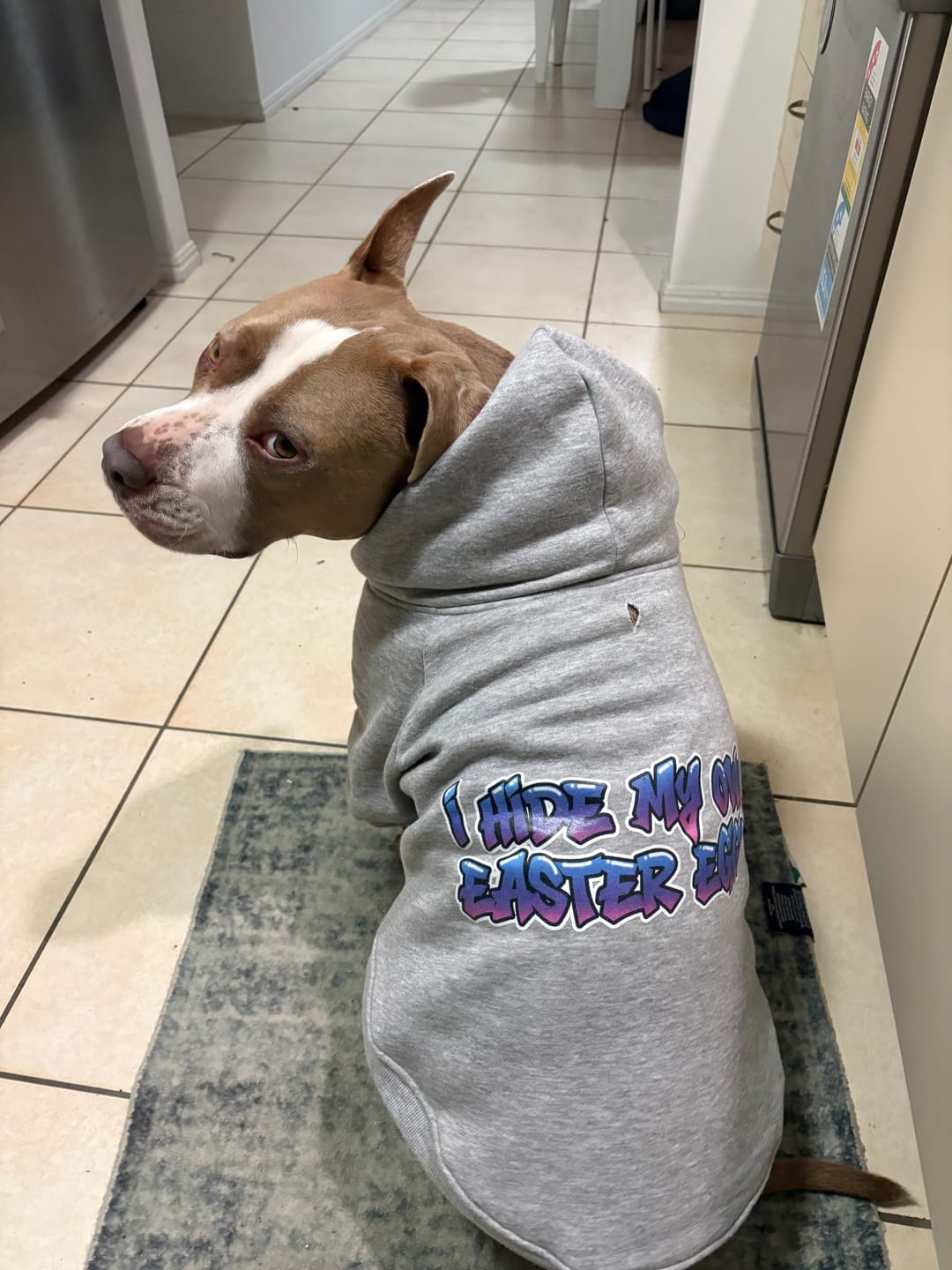 Customer photo review of In Da Hood Dog Hoodie