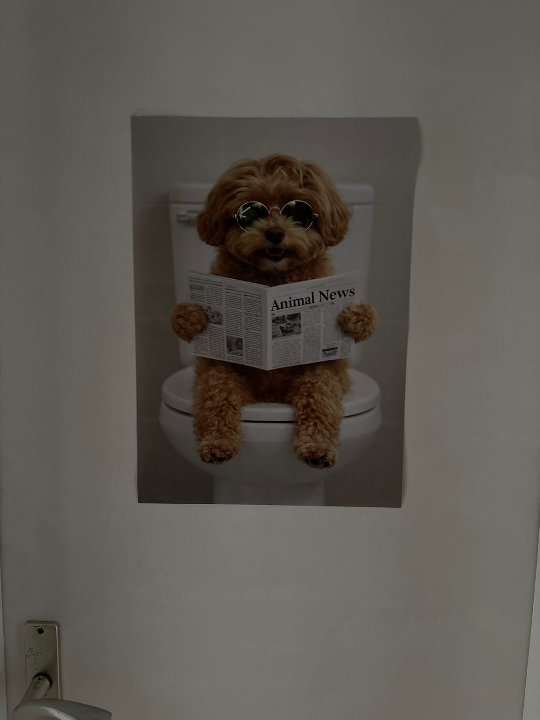 Customer photo review of Personalisiertes Poster - Badezimmer
