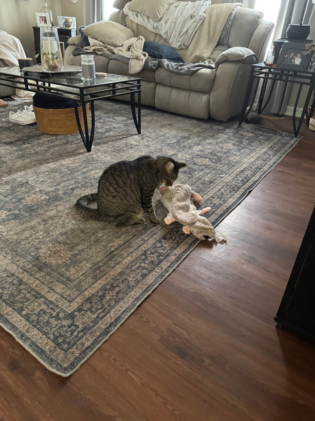 Customer photo review of SPEEDY TAIL 2.0