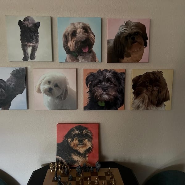 Customer photo review of Custom Watercolor Pet Portrait From Photo, Personalized Pet Memorial Gift For Dog Lover, Sympathy Gift For Dog Loss