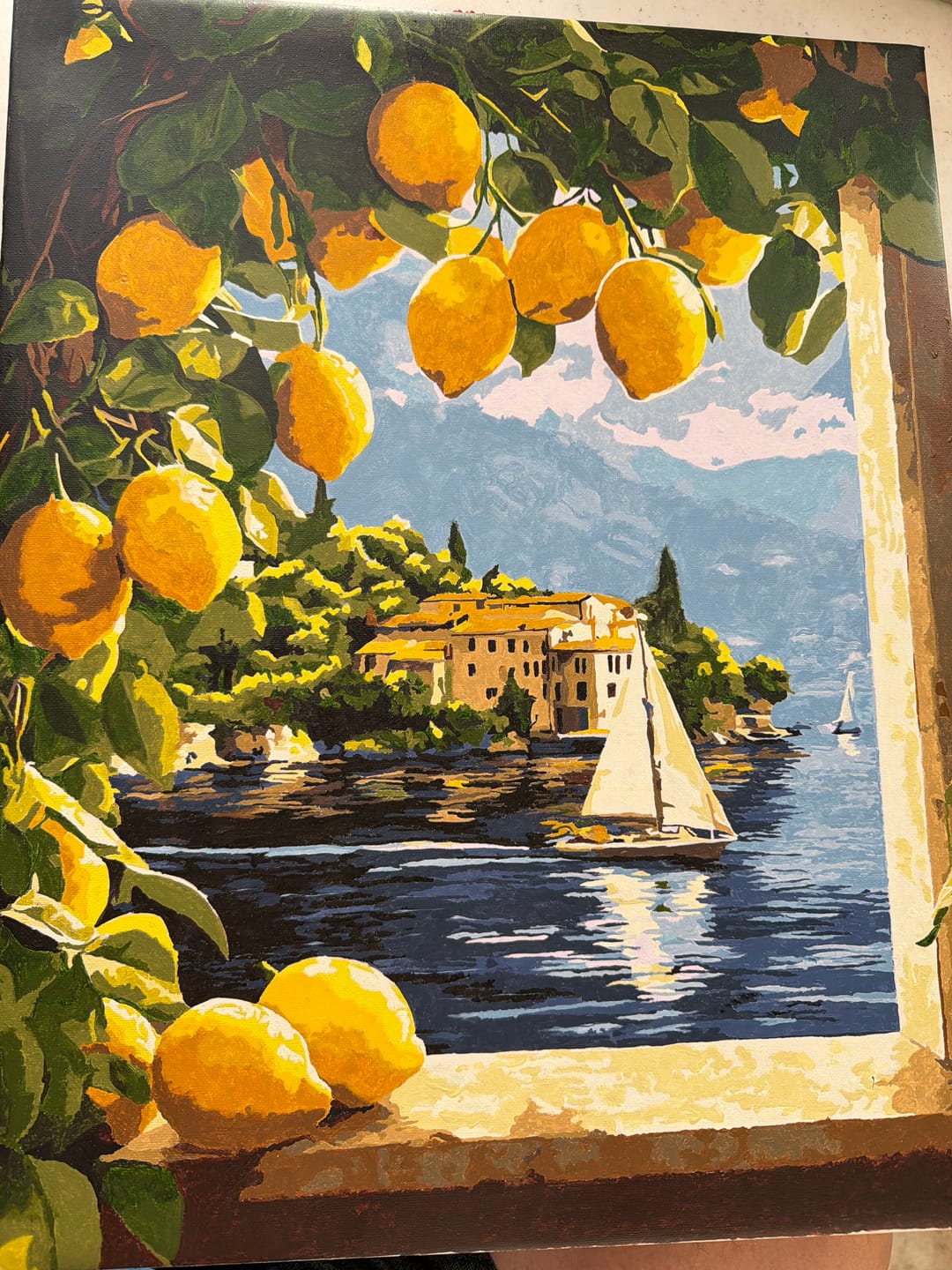 Customer photo review of Lemons at the window | Paint by Number