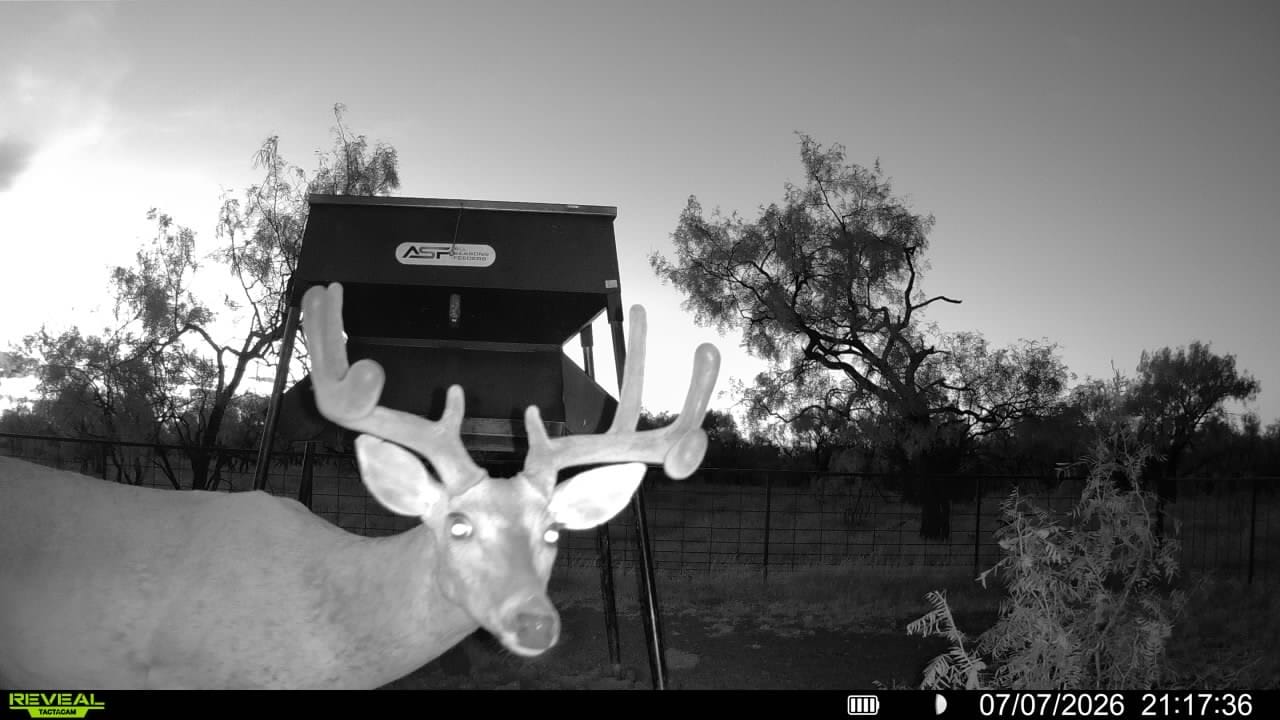 Customer photo review of Buy 2 & Save! Tactacam Reveal Ultra Cellular Trail Camera with Solar Panels, Batteries and Steel Reinforced Straps
