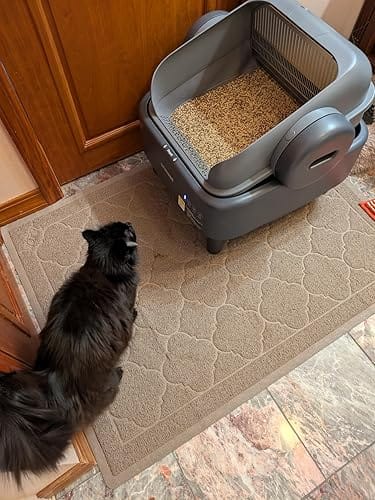 Customer photo review of Oneisall Ease S1 selbstreinigende Katzentoilette