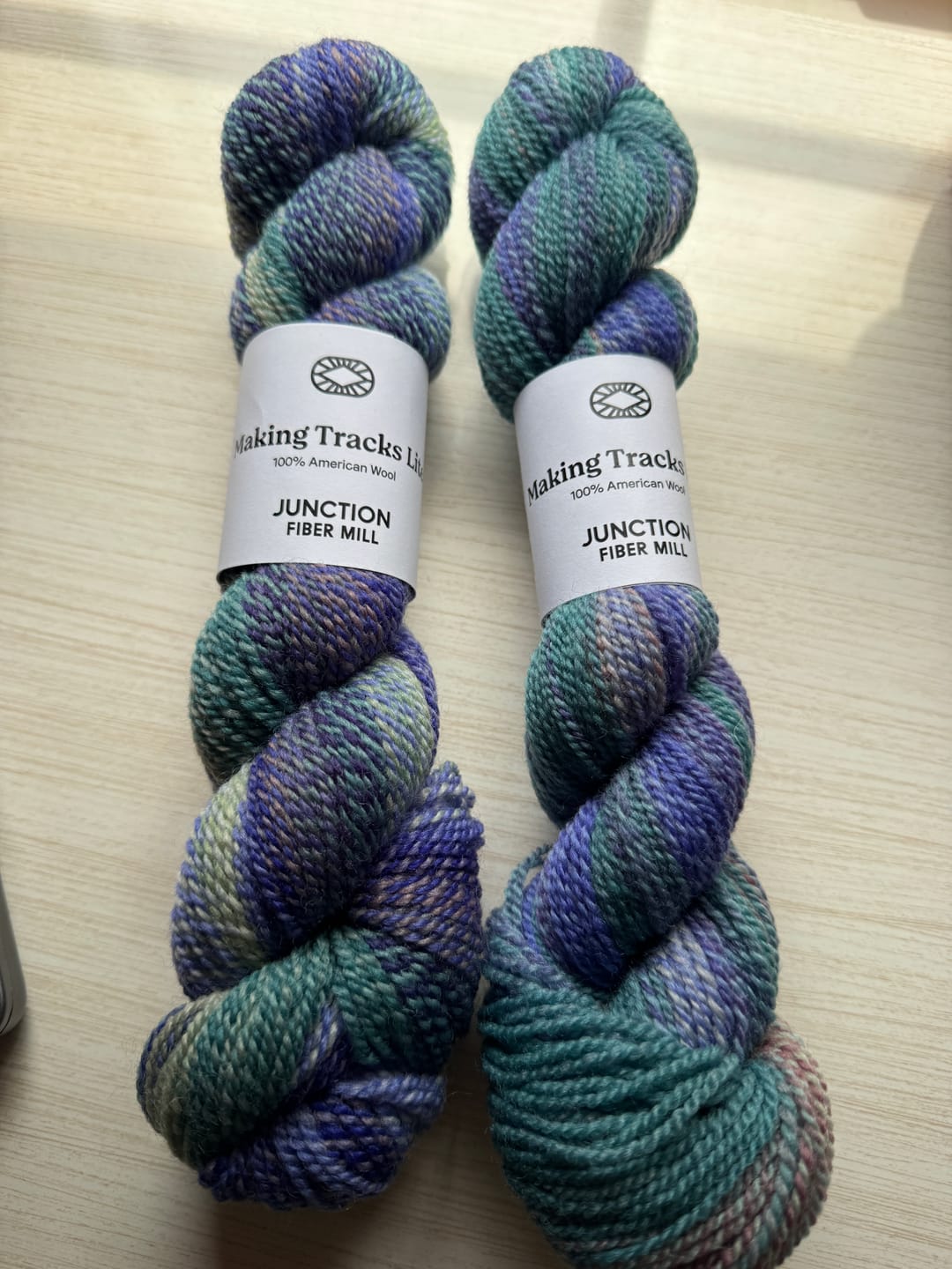 Customer photo review of Making Tracks Lite: Giverny