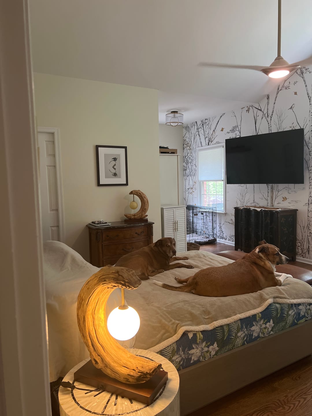 Customer photo review of Wooden Art Lamp #WL071