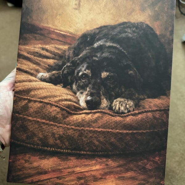 Customer photo review of Custom Pet Portrait Oil Painting From Photo