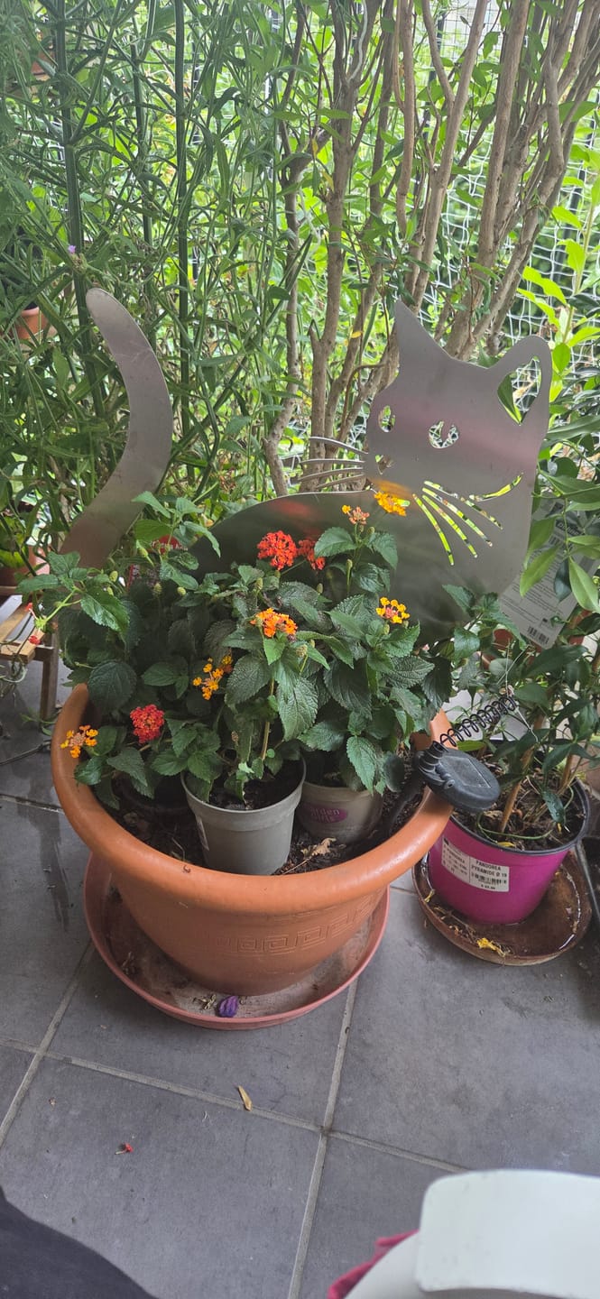 Customer photo review of Gartenstecker Katze sitzend