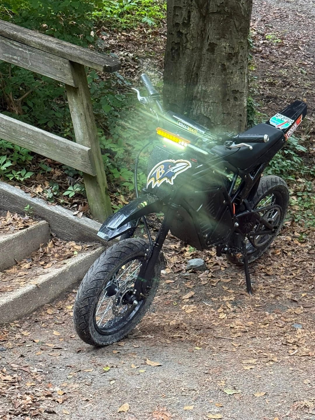 Customer photo review of Eskute® NOVA X 4000W Electric Dirt Bike