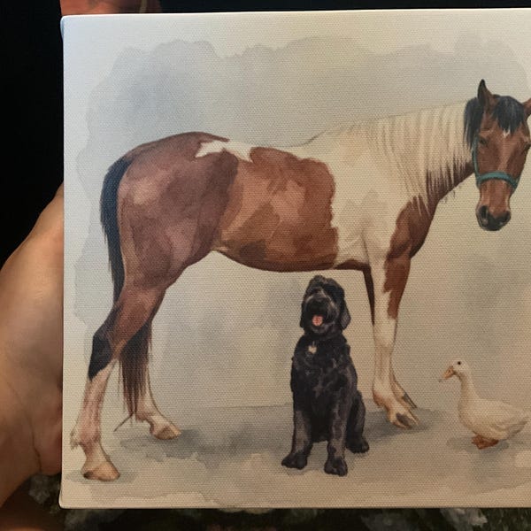 Customer photo review of Custom Watercolor Painting Horse Portrait Gifts For Equestrian