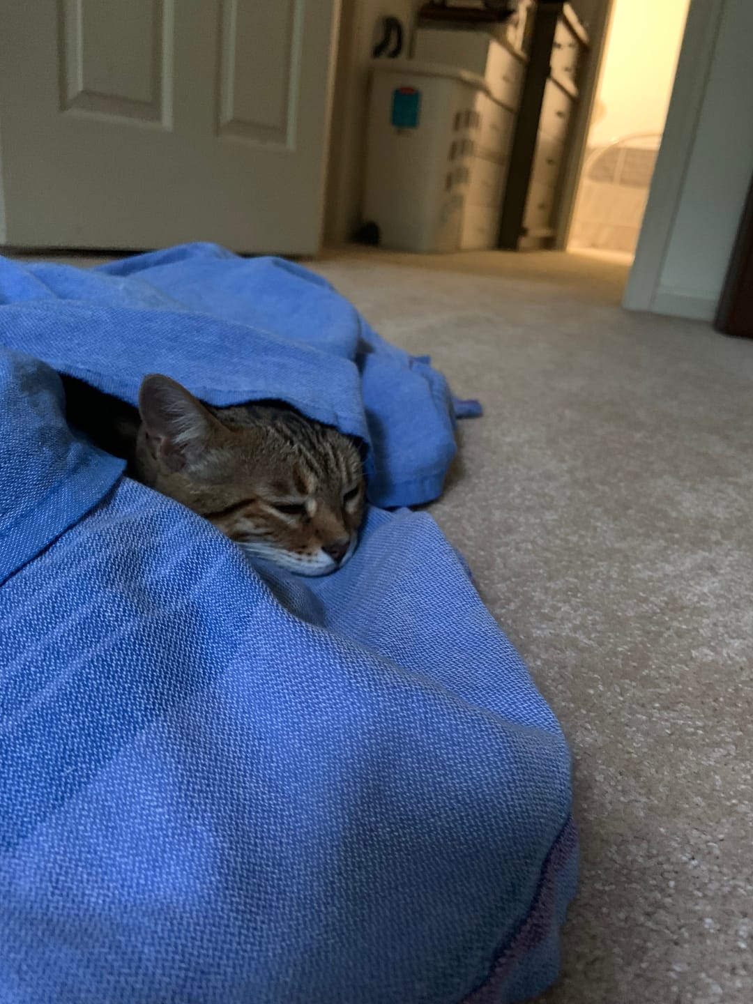 Customer photo review of Frame Blanket - Dusk