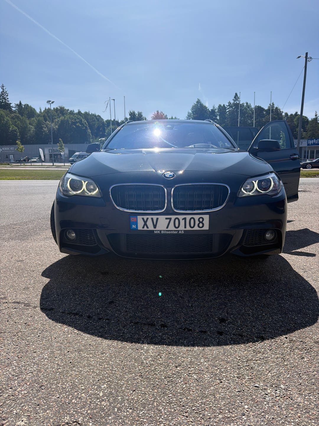 Customer photo review of BMW F10 & F11 M-look Chrome Grill