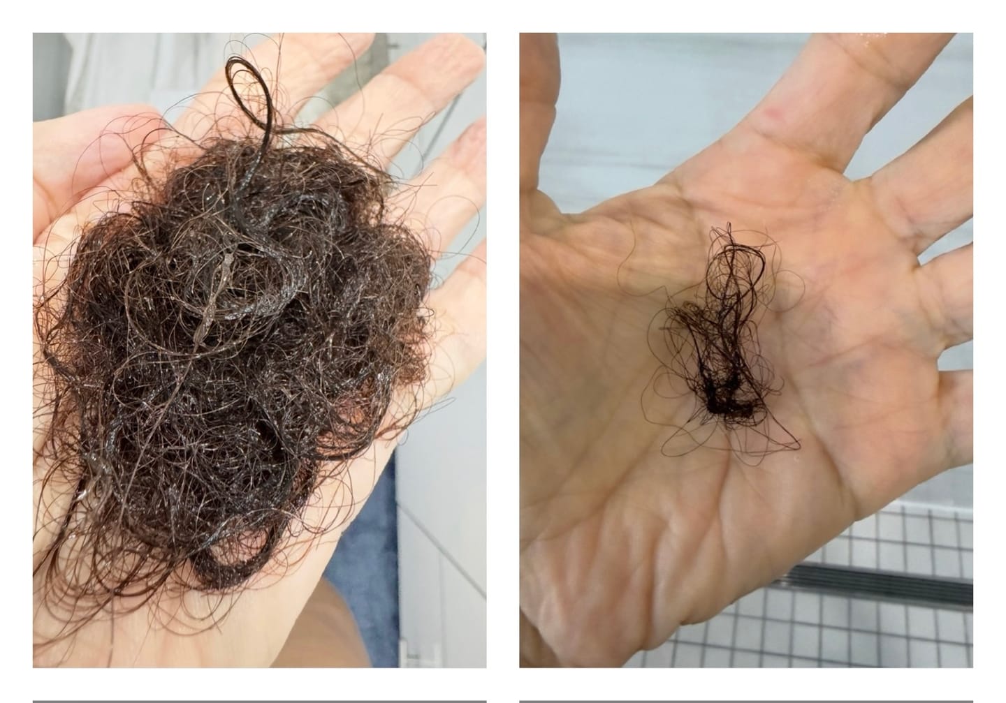 Customer photo review of Blueberry Fields Shampoo & Conditioner Bundle