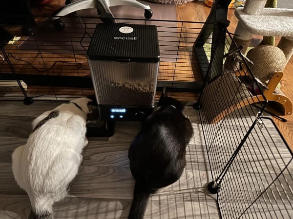 Customer photo review of Oneisall 5L Automatischer Katzenfütterer mit App-Steuerung für zwei Katzen