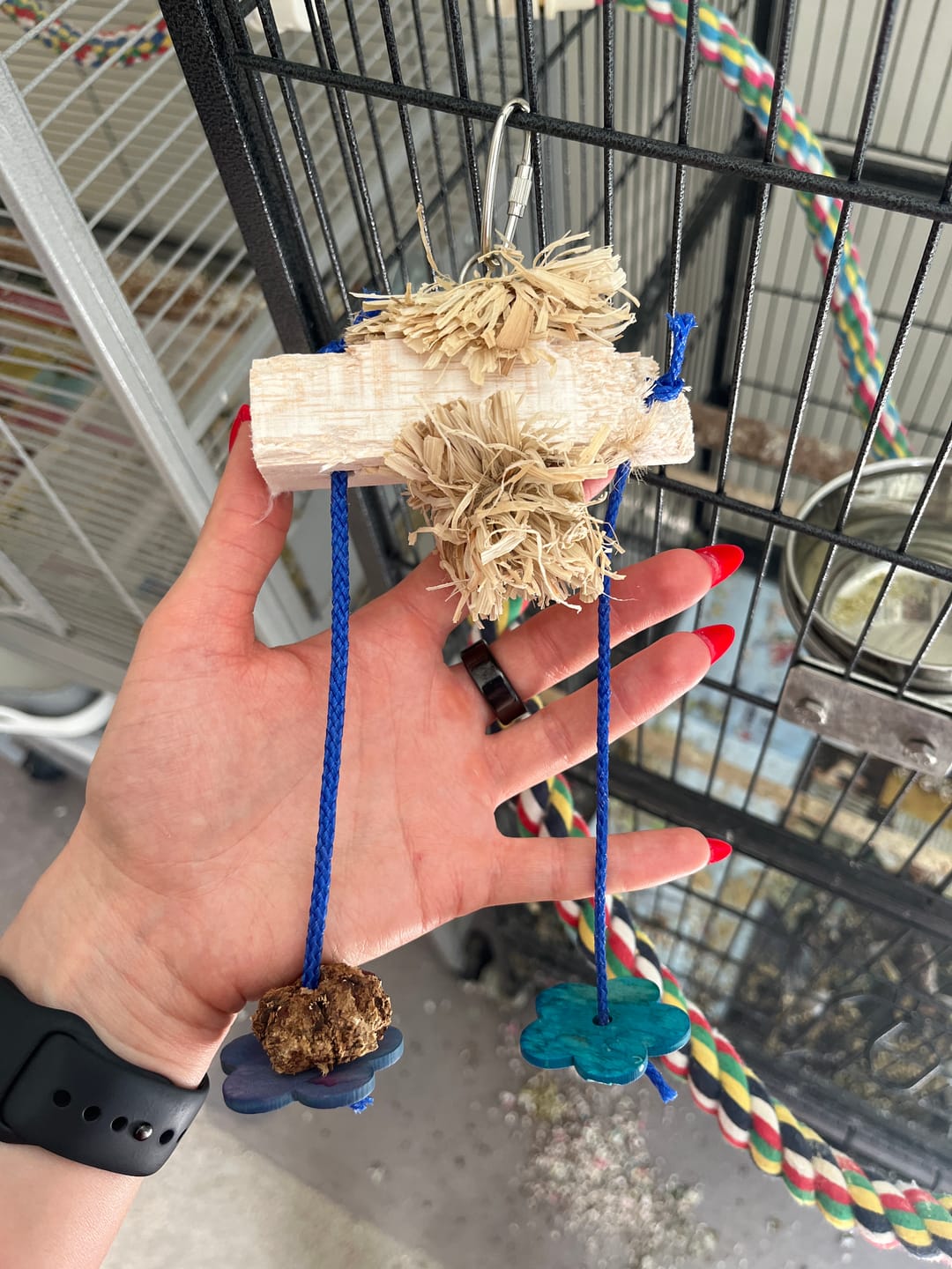 Customer photo review of Sola Surprise - Super Bird Creations