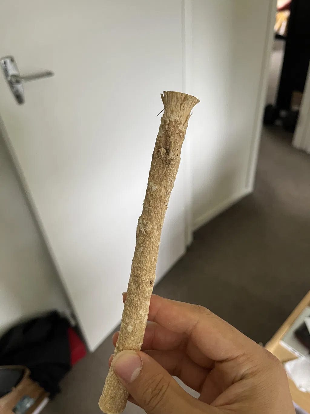 Customer photo review of Doğal Misvak Diş Fırçası