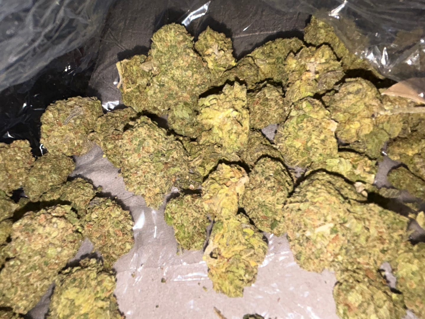 Customer photo review of Lato Pop - Bulk - Hybrid