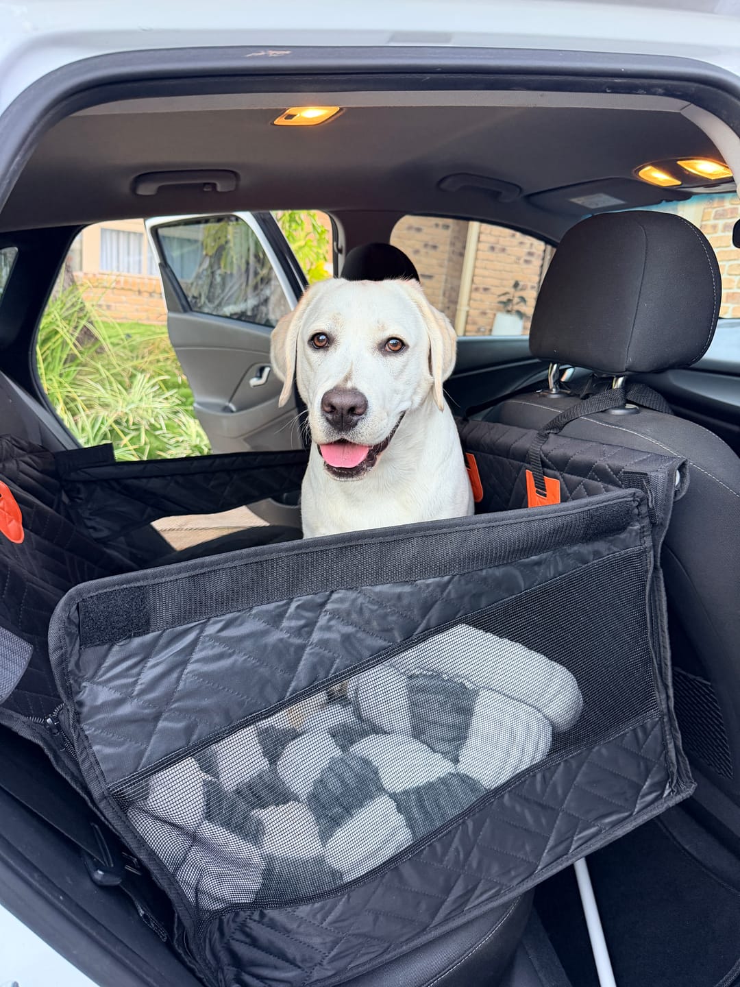 Customer photo review of Companion&Co™ Hard Bottom Single Seat Cover
